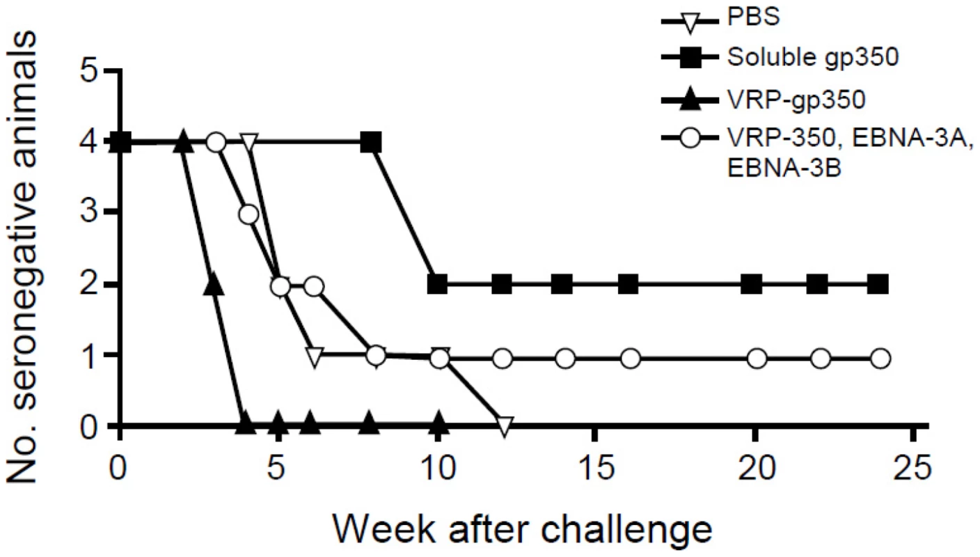 Detection of antibody to rhesus LCV VCA in monkeys immunized with soluble gp350, VRP-gp350, a combination of VRP-350, VRP-EBNA-3A, and VRP-EBNA-3B, or PBS.