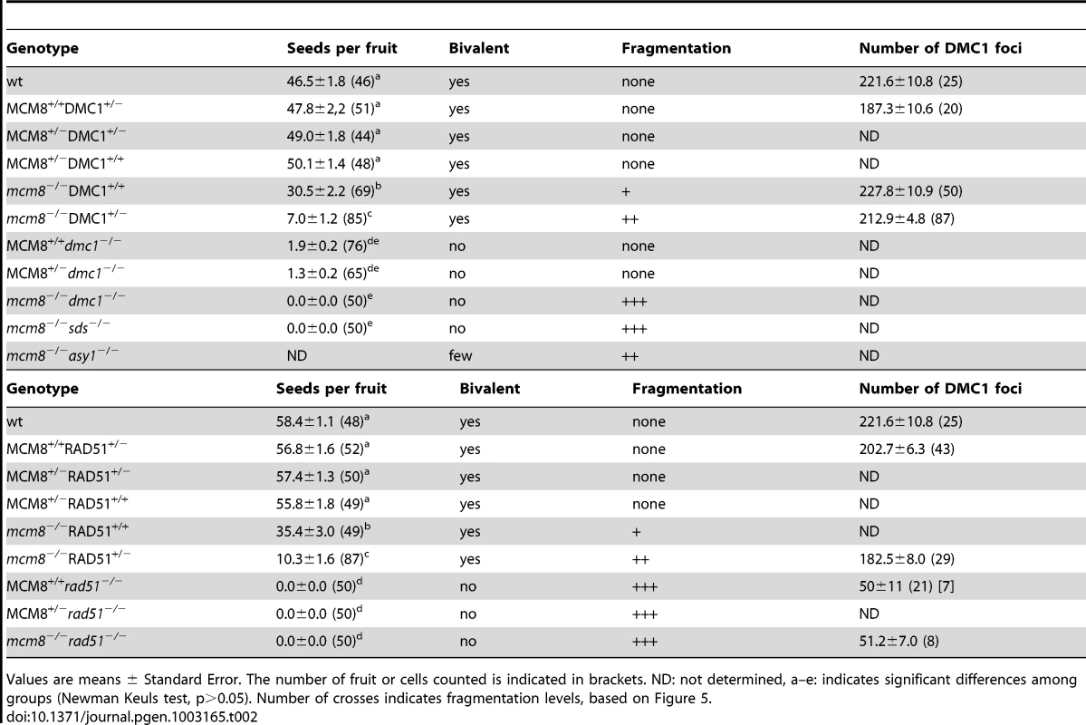 Seed per fruit and fragmentation levels in different combinations of double mutants.