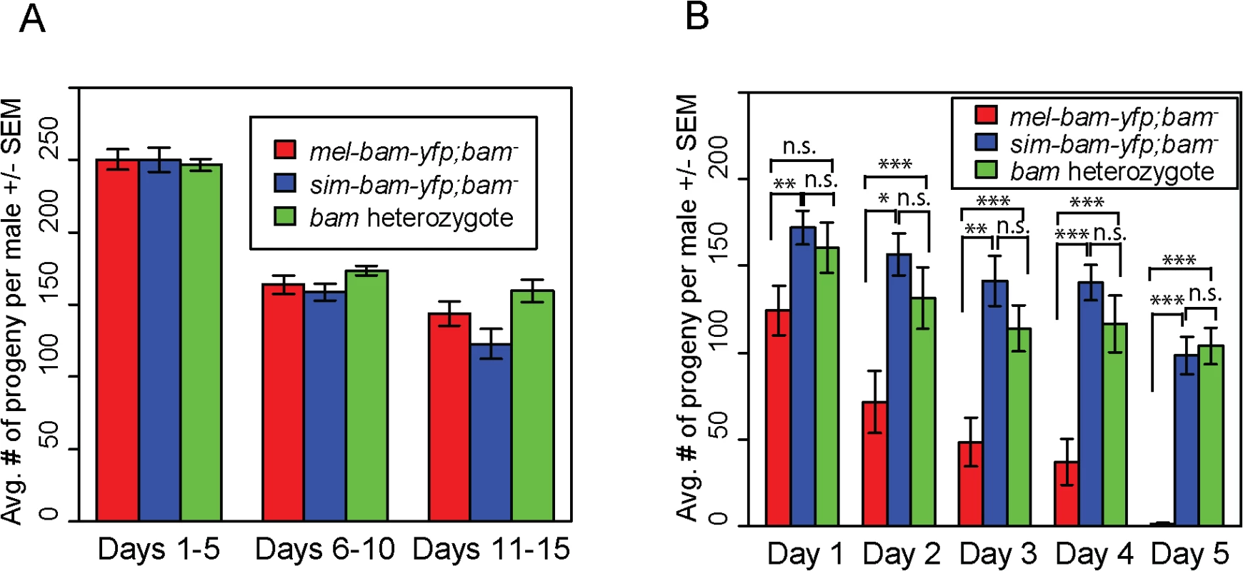 <i>sim-bam-yfp</i> rescues <i>D</i>. <i>melanogaster bam</i> mutant male sterility.