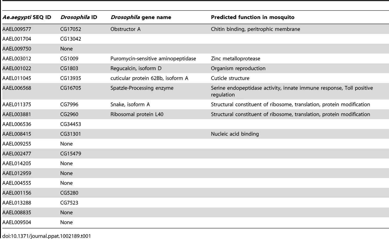 Predicted <i>Ae. aegypti</i> gene function and closest homolog in <i>Drosophila</i>.