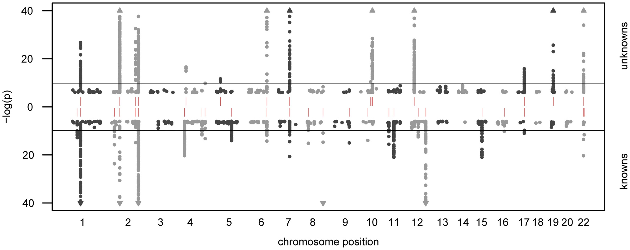 Manhattan plot of genetic association.