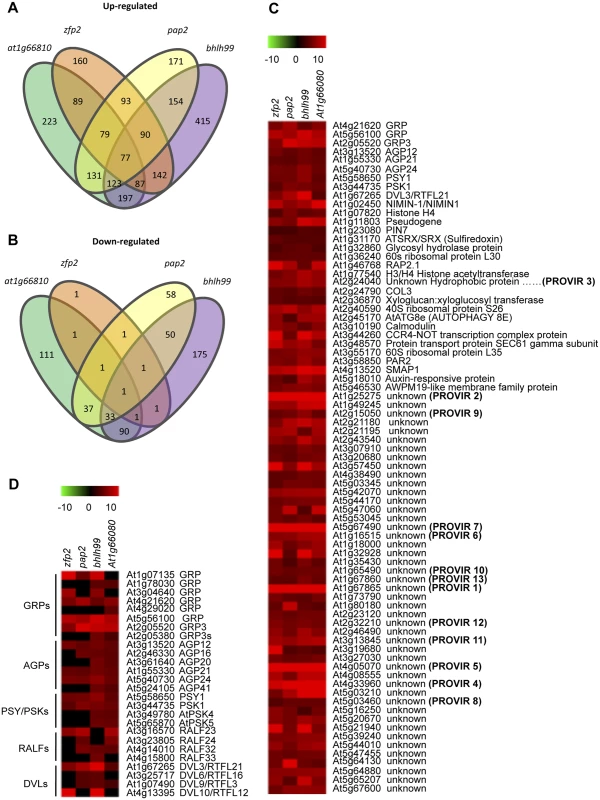 Comparative transcriptome analysis in <i>zfp2</i>, <i>bhlh99</i>, <i>pap2</i> and <i>at1g66810</i> insertion mutants.