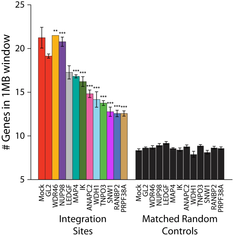 Depletion of additional host factors and their effects on HIV integration in gene dense regions.
