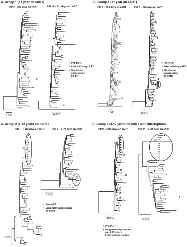 Neighbor-joining trees of single-genome plasma sequences from select samples from (A) Group 1 - short-term cART with no significant divergence of virus population from pre-therapy virus (B) Group 1 - short-term cART with significant divergence of virus during suppression on cART (C) Group 2 – long-term cART and (D) Group 3 – long-term cART, resuppression after a brief treatment interruption.