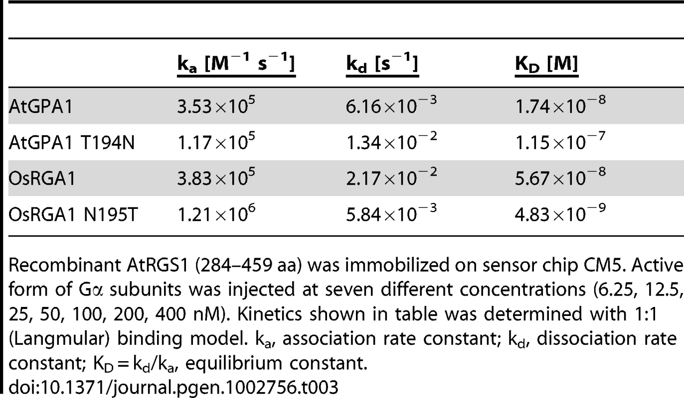 Affinity of plant Gα to AtRGS1 immobilized on the SPR biosensor.
