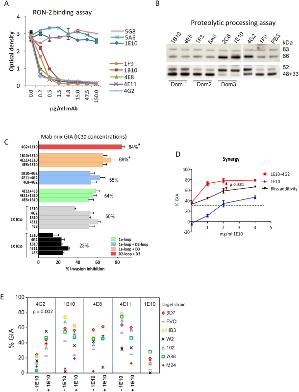 Biological activity of monoclonal antibodies.