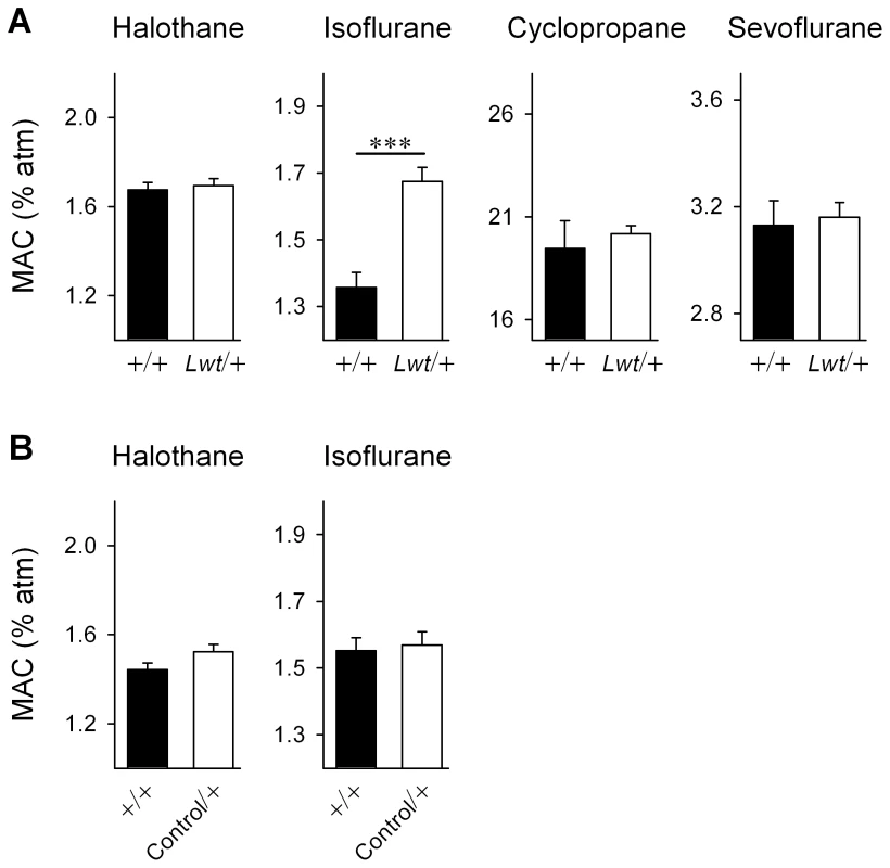 <i>Lwt</i>/+ congenic mice are <i>resistant</i> isoflurane anesthesia.