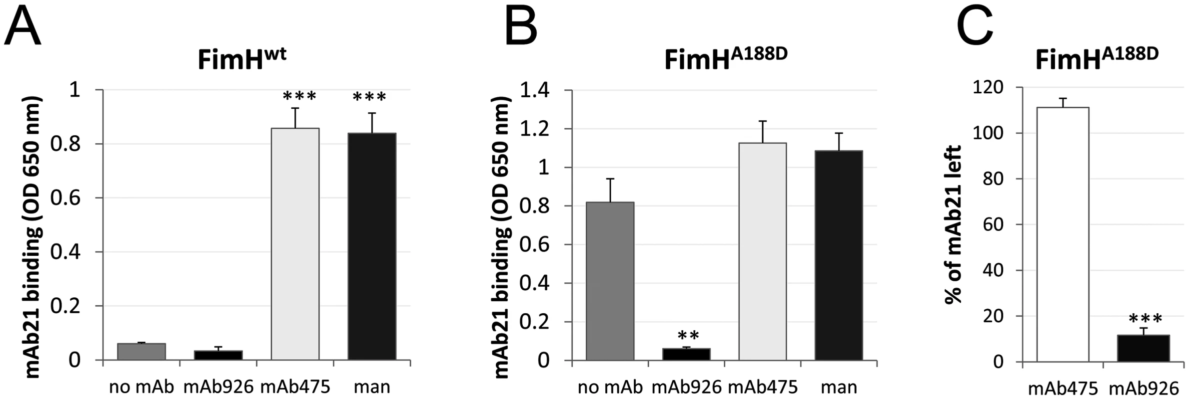Effect of antibody binding on FimH conformation.
