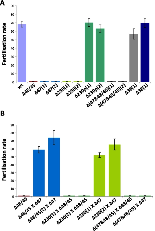 Fertilisation rates and male and female fertility of mutants lacking expression of different members of the 6-cys family of proteins.