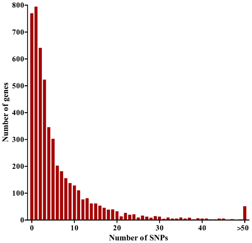 Distribution of numbers of SNPs per gene for 5,056 <i>P. falciparum</i> genes analyzed with a population sample of 65 Gambian clinical isolates.