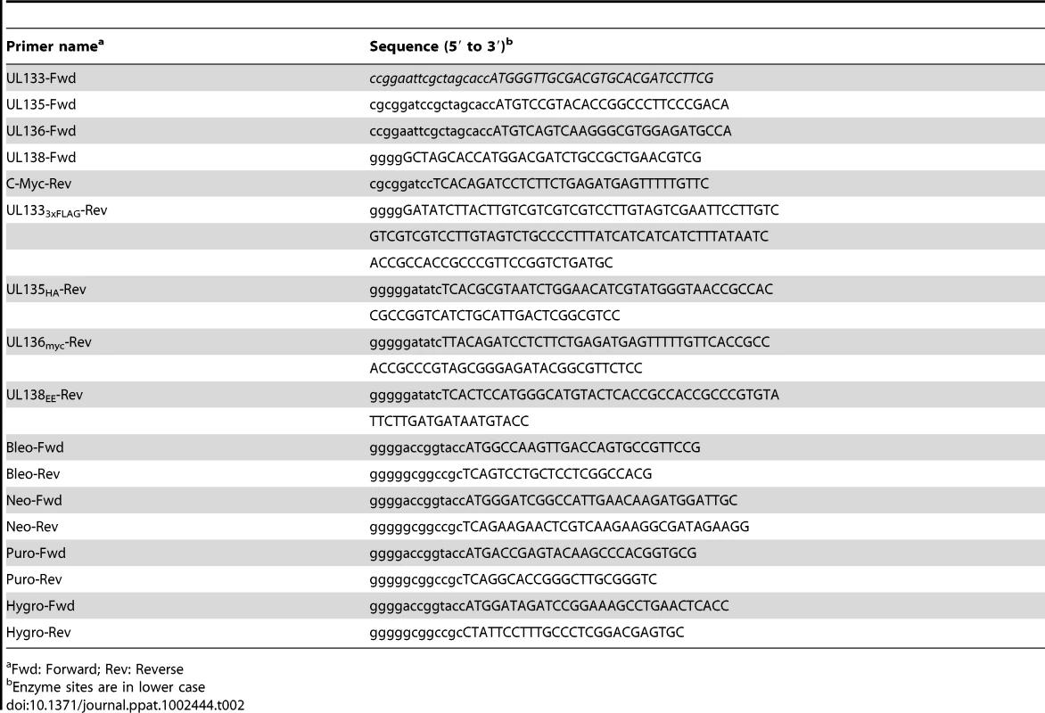 Primers used for cloning into pCIG2 vector.
