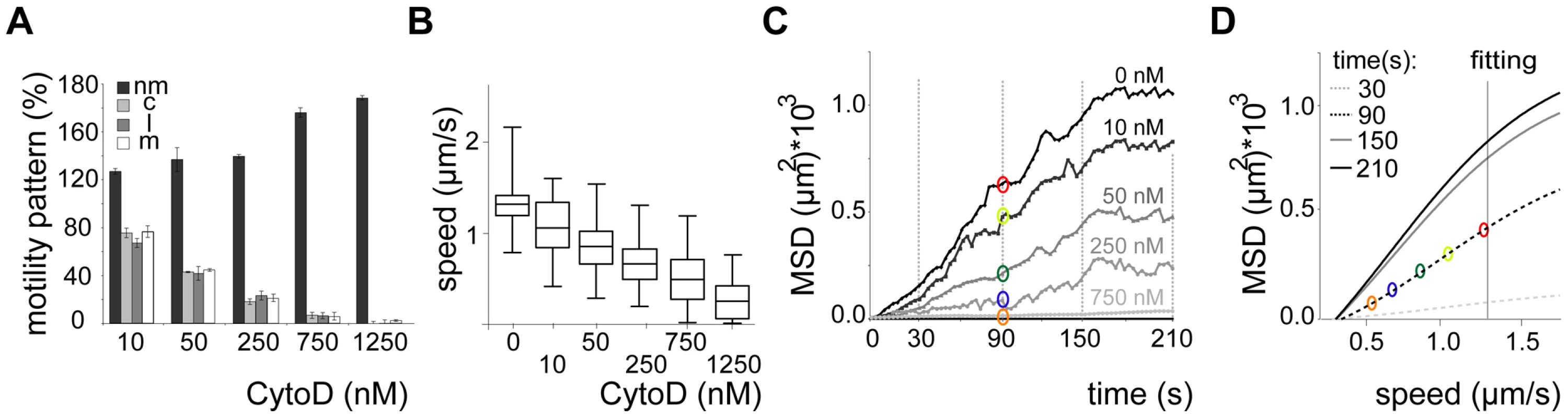 Dispersal of sporozoites under the influence of an actin filament-disrupting drug.