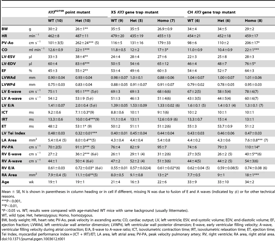 Adult cardiac parameters measured by micro-ultrasound echocardiography.