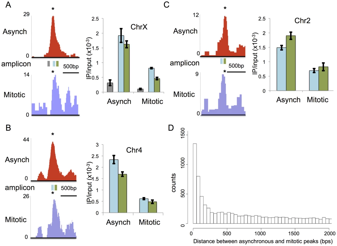 RBPJ occupancy sites can shift between interphase and mitosis.