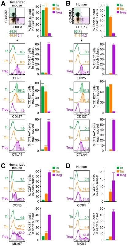 Comparison of the profile of CD4<sup>+</sup> T cell subsets between human and humanized mouse.