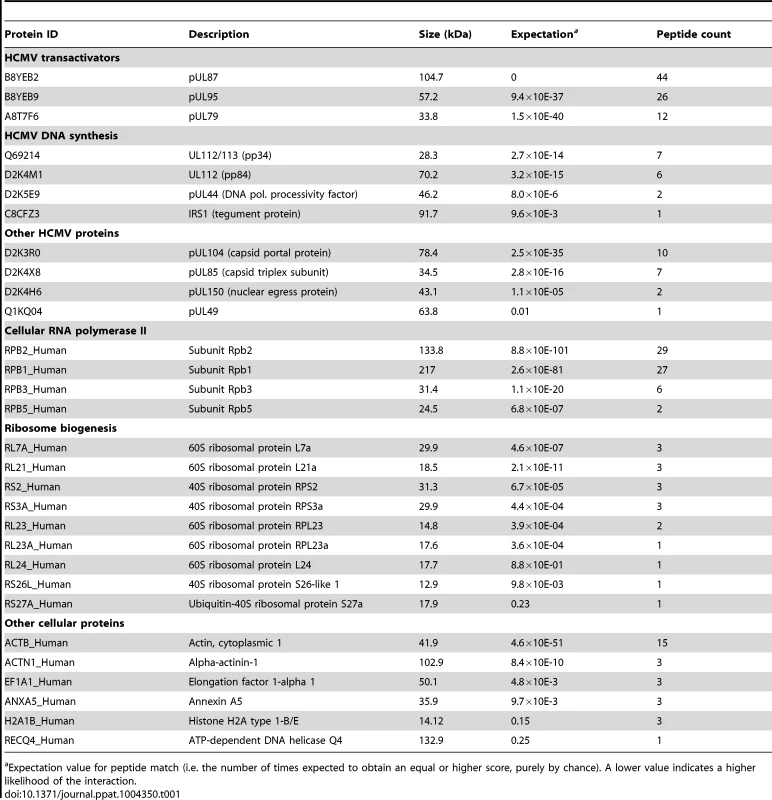 pUL79 protein partners identified by mass spectrometry.
