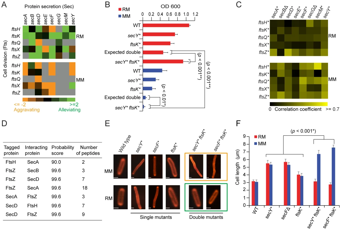 Genetic dependencies reflect functional relationships.