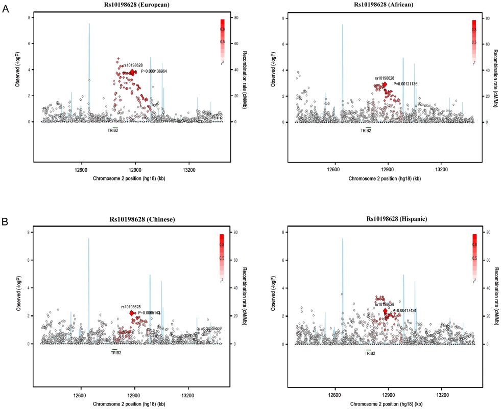 Regional association plots of rs10198628 in MESA ancestry populations.