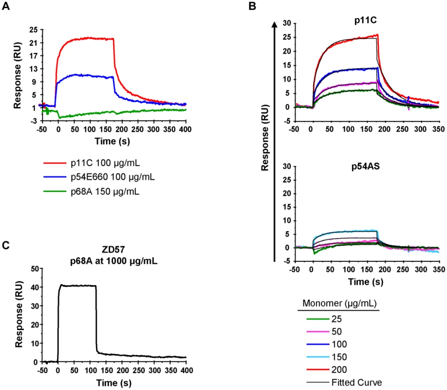 TCR:pMHC measurements.