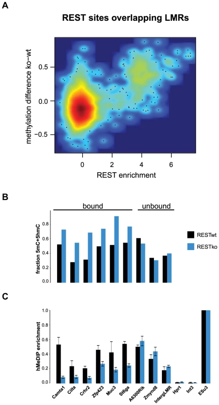 5hmC enrichment at REST-bound LMRs is partially dependent on the presence of REST.