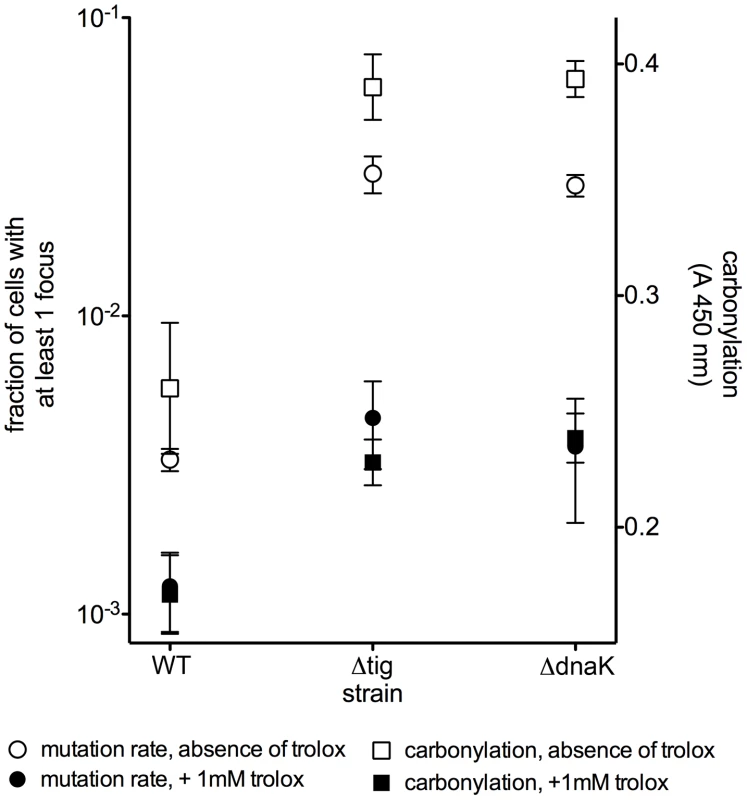 Trolox reduces the amount of protein carbonylation and the mutation rates.