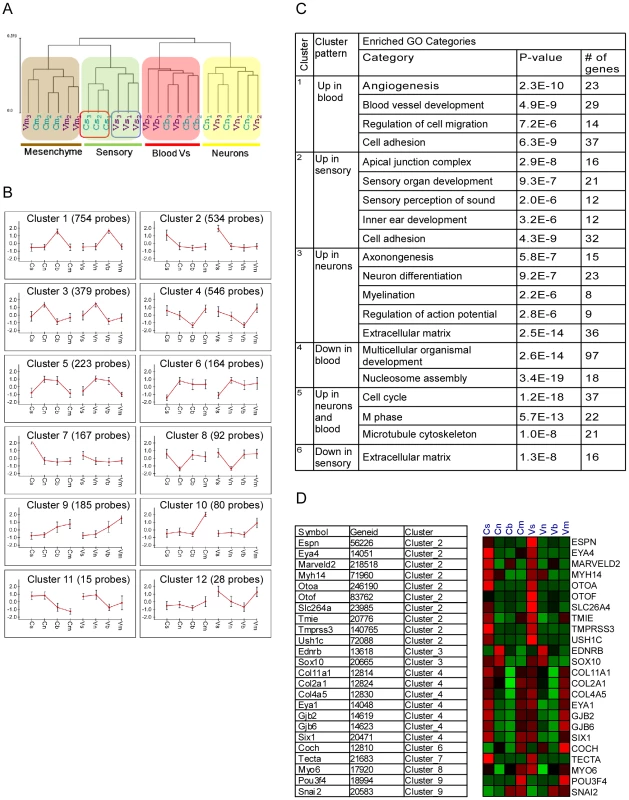 Analysis of the inner ear cell type–specific transcriptome.