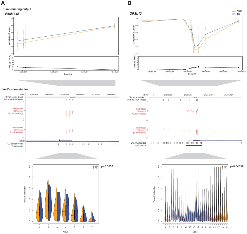Massively-parallel bisulphite sequencing testing of candidate differentially methylated regions.