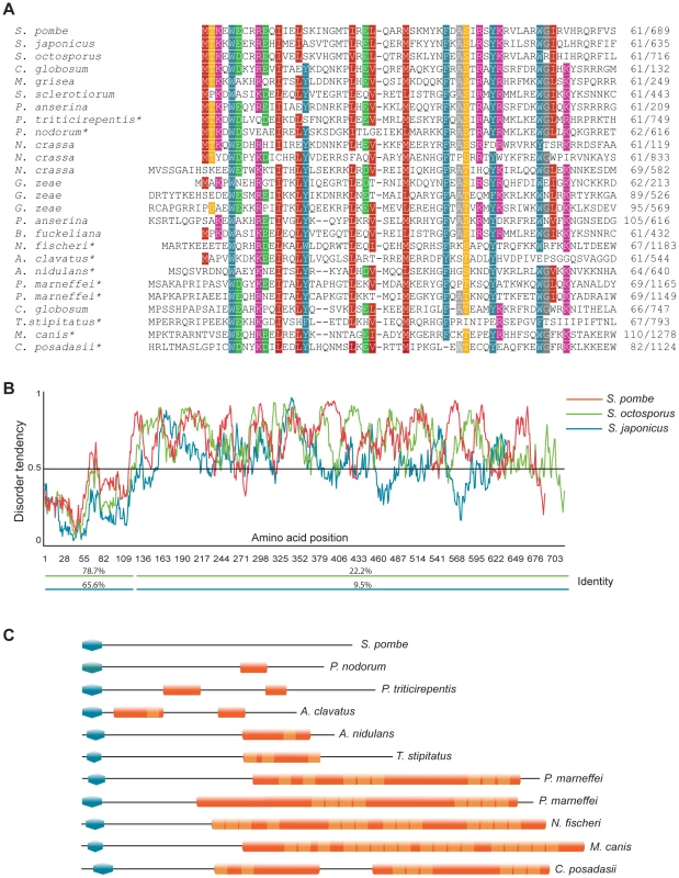 Features of the Clr5 protein.