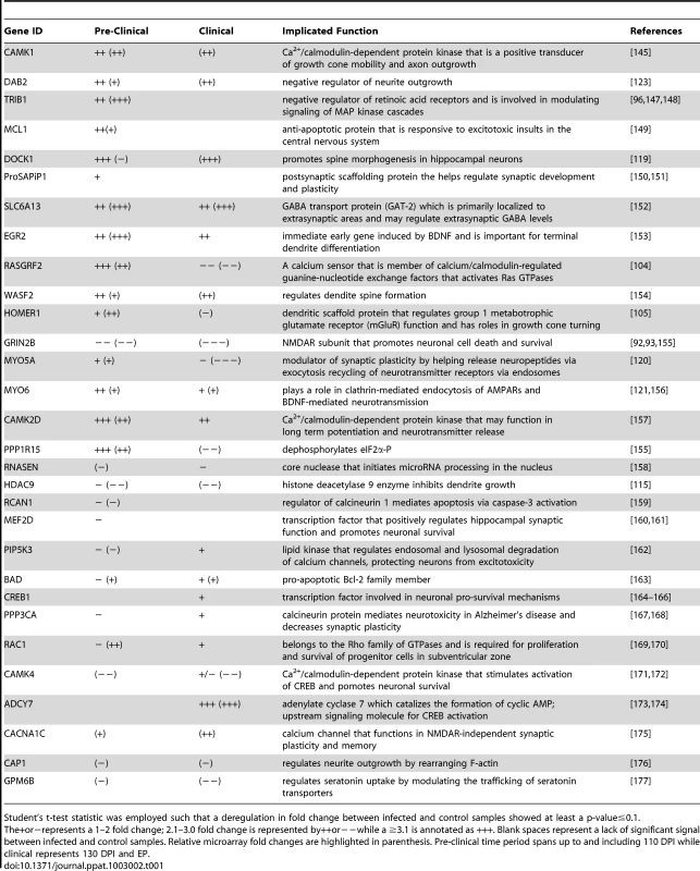 The list of genes we further investigated using qRT-PCR.