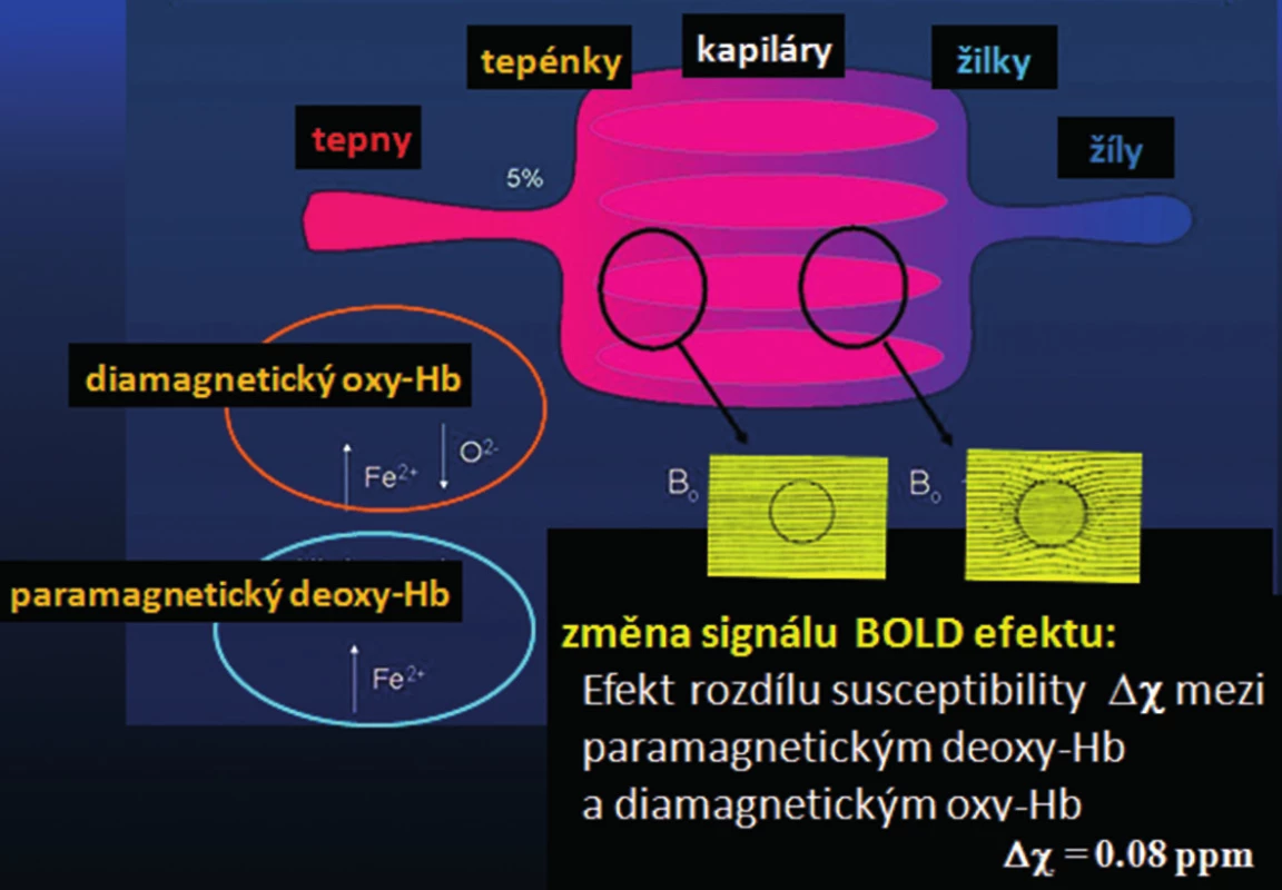 Schéma rozdílu v susceptibilitě diamagnetického oxy-Hb a paramagnetického deoxy-Hb. Tento rozdíl vyvolává lokální nehomogenitu magnetického pole, která vede k poklesu MR signálu. Změny v rovnovážném poměru koncentrací oxy-Hb a deoxy-Hb řídí změny signálu při měření tohoto tzv. BOLD efektu