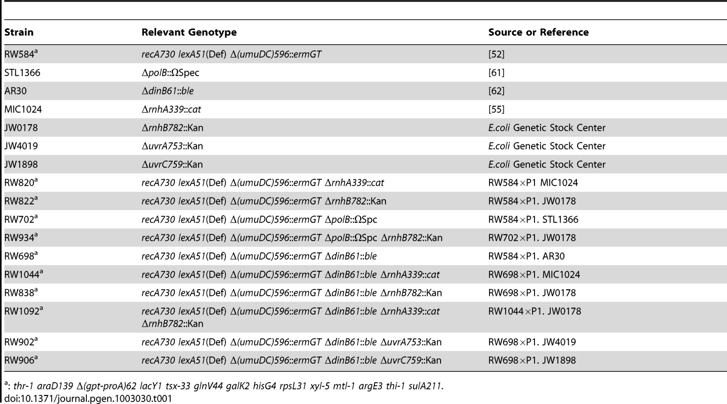 <i>E. coli</i> strains used in this study.