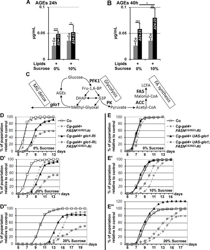AGE metabolism and <i>FASN</i> deficiency.