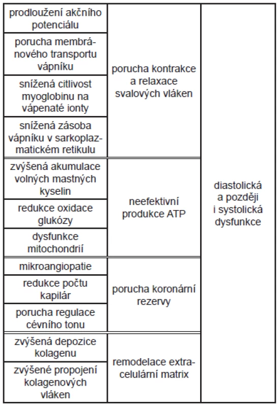 Metabolické a funkční změny u DiKMP a jejich následky - schéma.