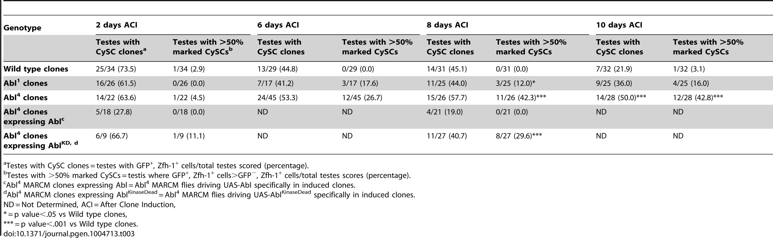 Abl kinase activity is required to attenuate CySC competition in the <i>Drosophila</i> testis.