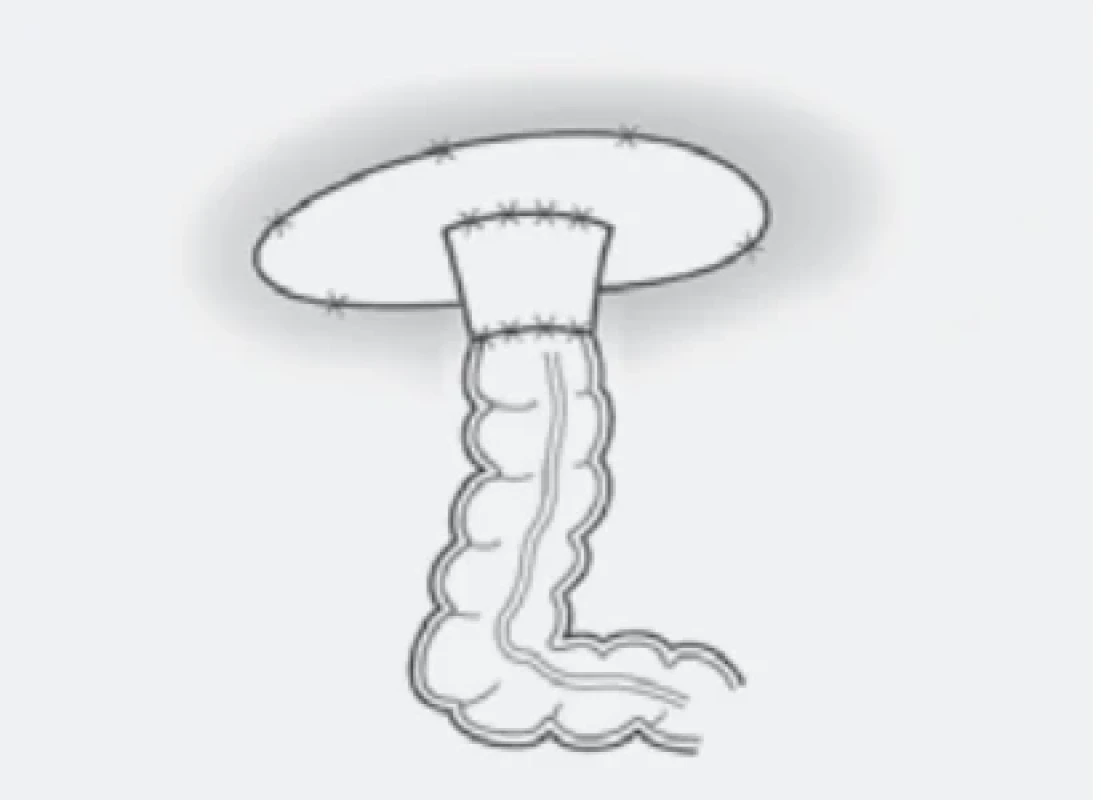  / Fig. 5.