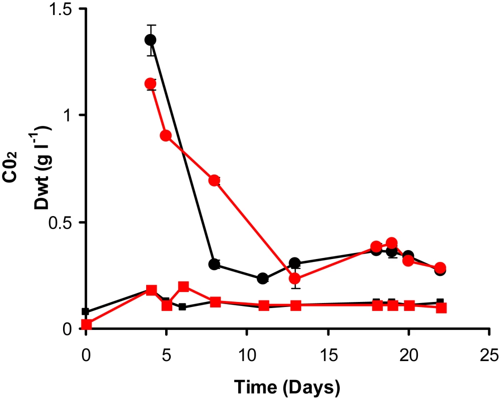 Continuous culture of <i>M. bovis</i> BCG and ▵<i>icl</i>1 at a dilution rate of 0.03 h<sup>−1</sup> (t<sub>d</sub> = 23.1 h).