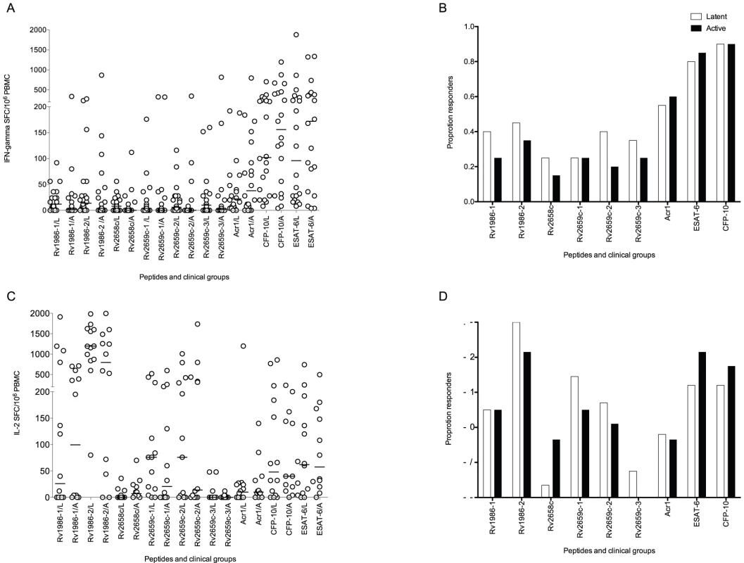 Interferon-γ and IL-2 ELISpot response to peptide pools.