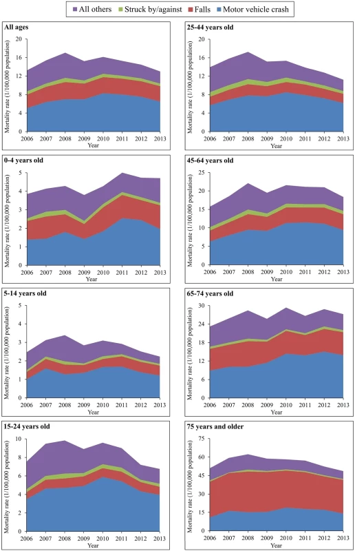 Mortality rates from traumatic brain injury by age group and external cause of injury (China, 2006–2013).
