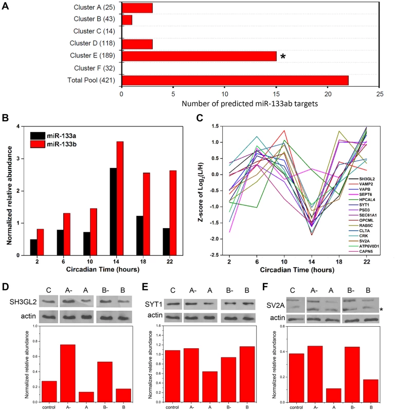 Functional implications for miRNA target enrichment in specific hierarchical clusters.