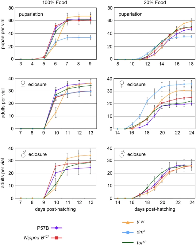 Effects of heterozygous <i>Nipped-B</i>, <i>dm</i>, and <i>Tor</i> mutations on timing of pupariation and eclosion.