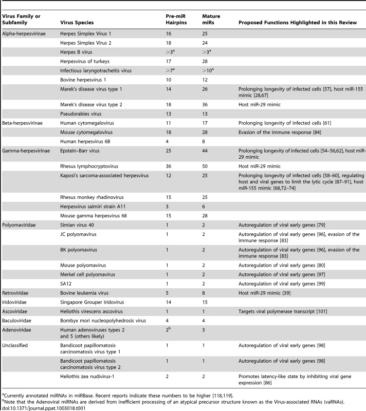 Known viral miRNAs and proposed functions highlighted in this review.