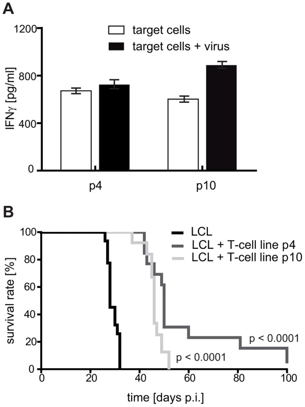 Later passage T-cell preparations show increased virion antigen specificity but are less tumor-protective.
