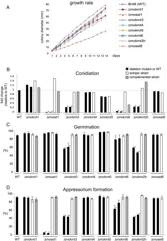 Phenotypic characterization of KMT mutants of <i>Magnaporthe oryzae</i>.