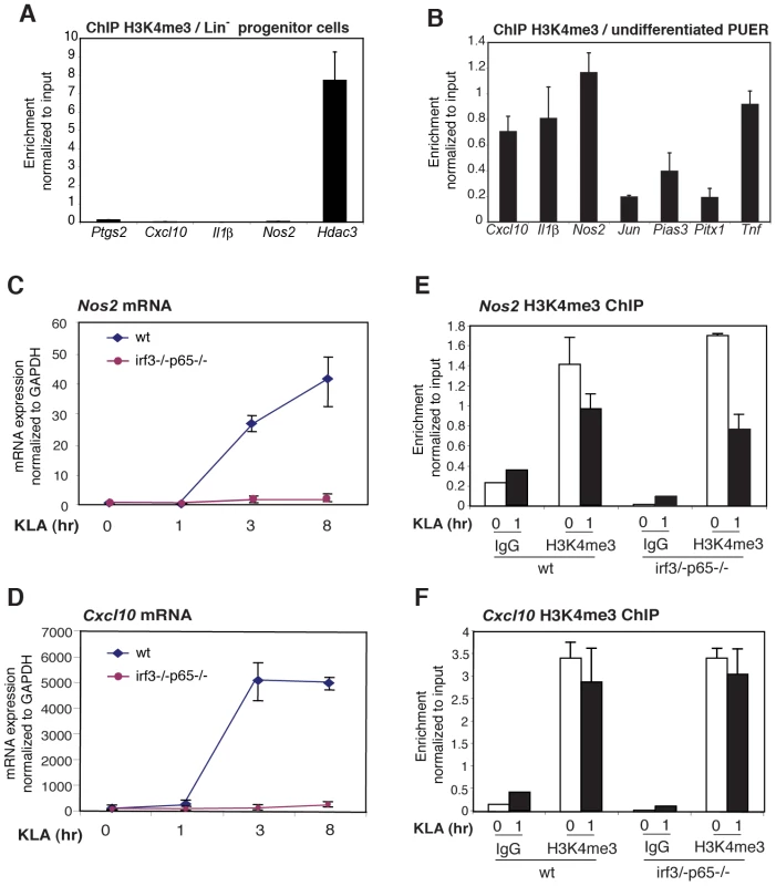 The H3K4me3 mark can be established independently of signal-dependent activators.