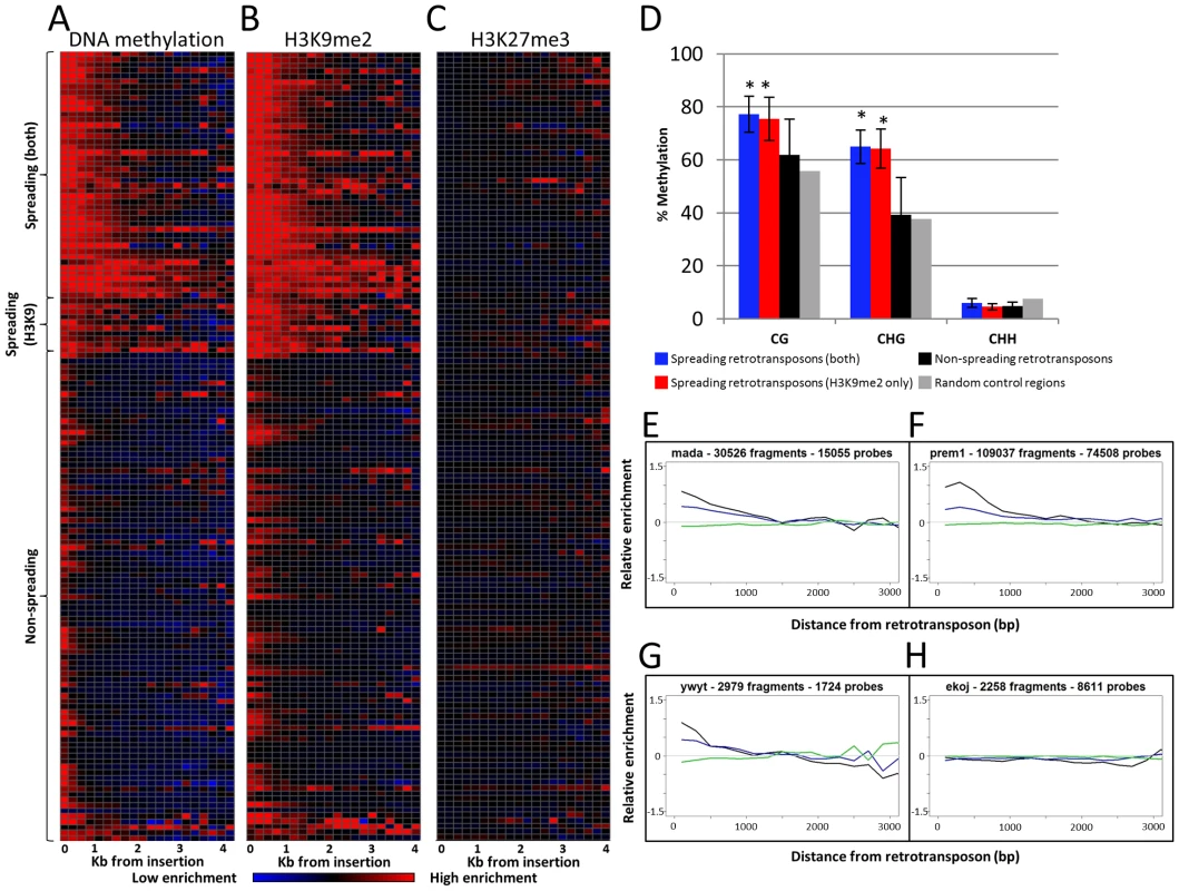 Heterochromatin spreading is restricted to some retrotransposon families.