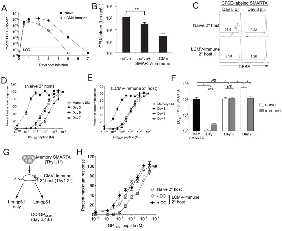 Functional avidity decay of secondary Th1 responders is associated with a prolonged infectious period.