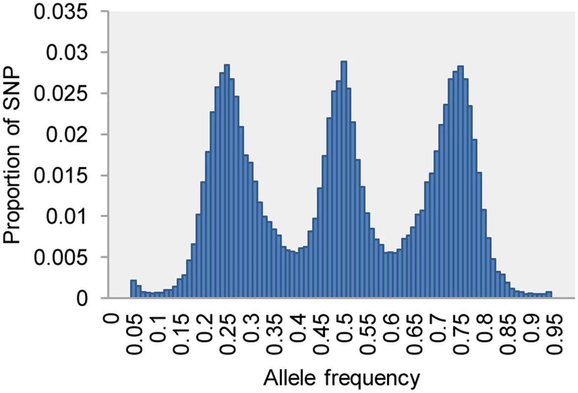 Allele frequency of 50,000 SNPs (call rate &amp;gt;0.8) in the full-sib F1 population (n = 130) of upland tetraploid switchgrass, showing the classic signature of a cross between two heterozygous diploids.
