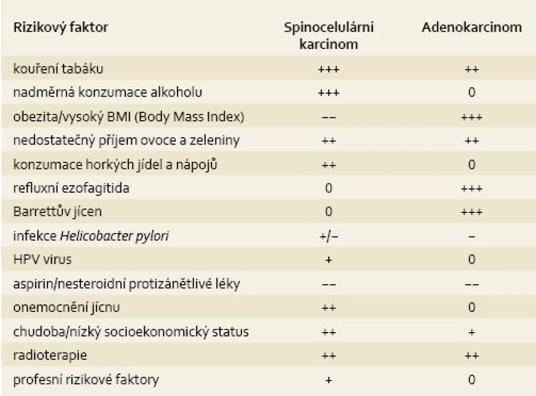 Souhrn rizikových a protektivních faktorů podle histologického typu [81,82].
Tab. 2. Summary or risk and protective factors according to histological type [81,82].