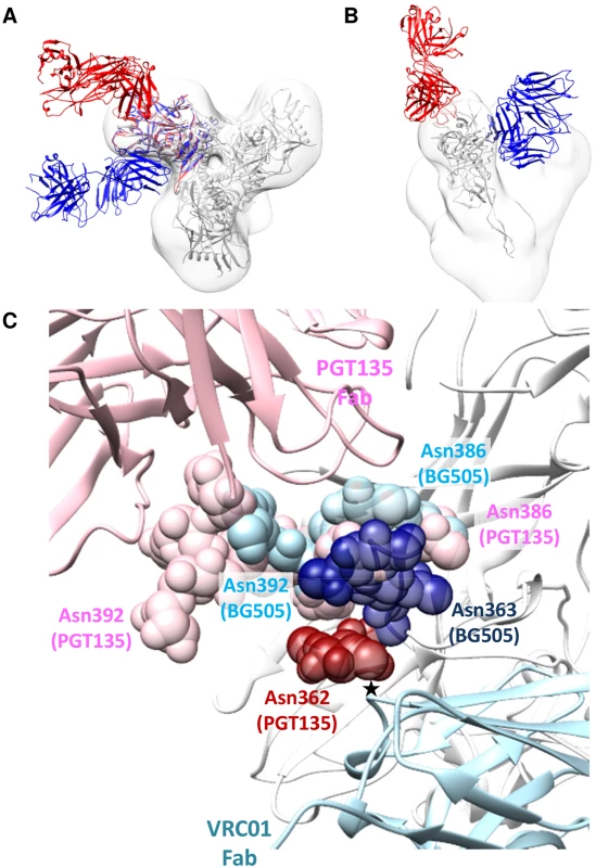 Comparison of PGT135 and VRC01 binding to HIV-1 gp120.