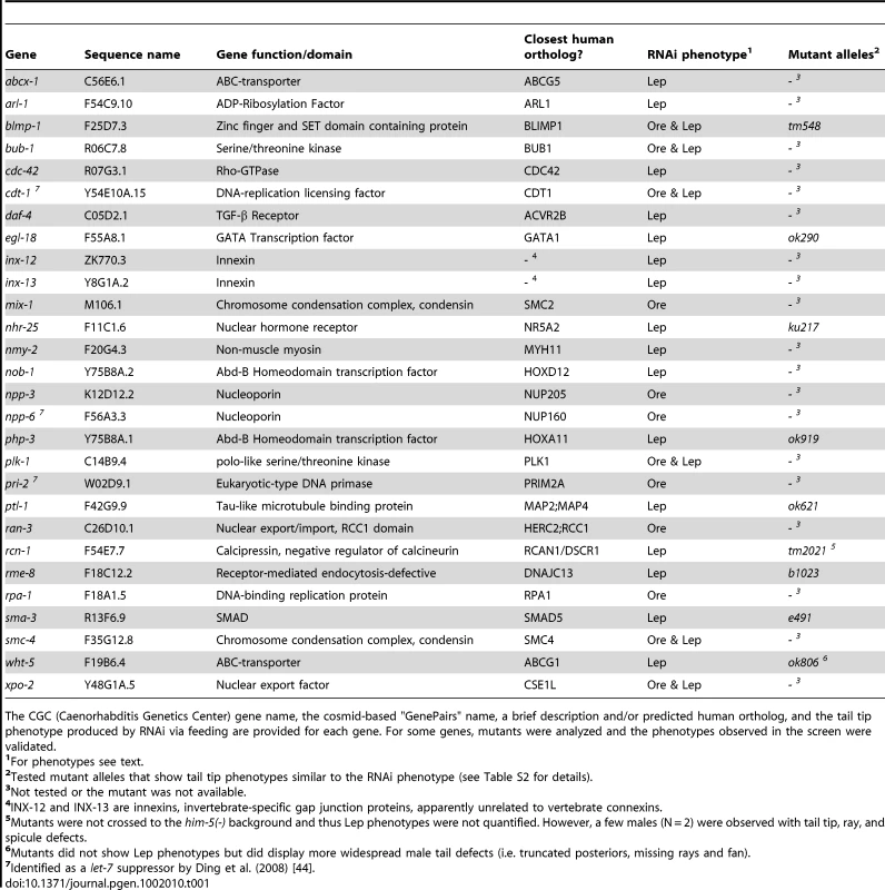Genes identified in the RNAi screen that caused the most severe and/or penetrant tail tip morphogenesis defects.